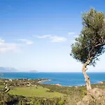 L'agrumeto *