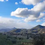 L'agrumeto *