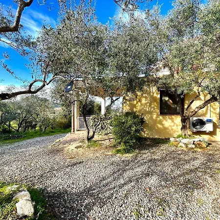 L'agrumeto Apartament *