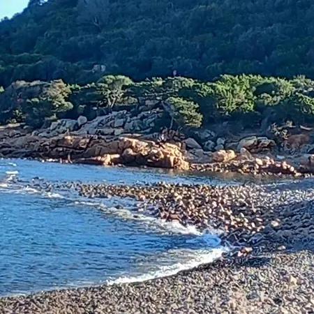 L'agrumeto Cardedu