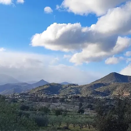 L'agrumeto *